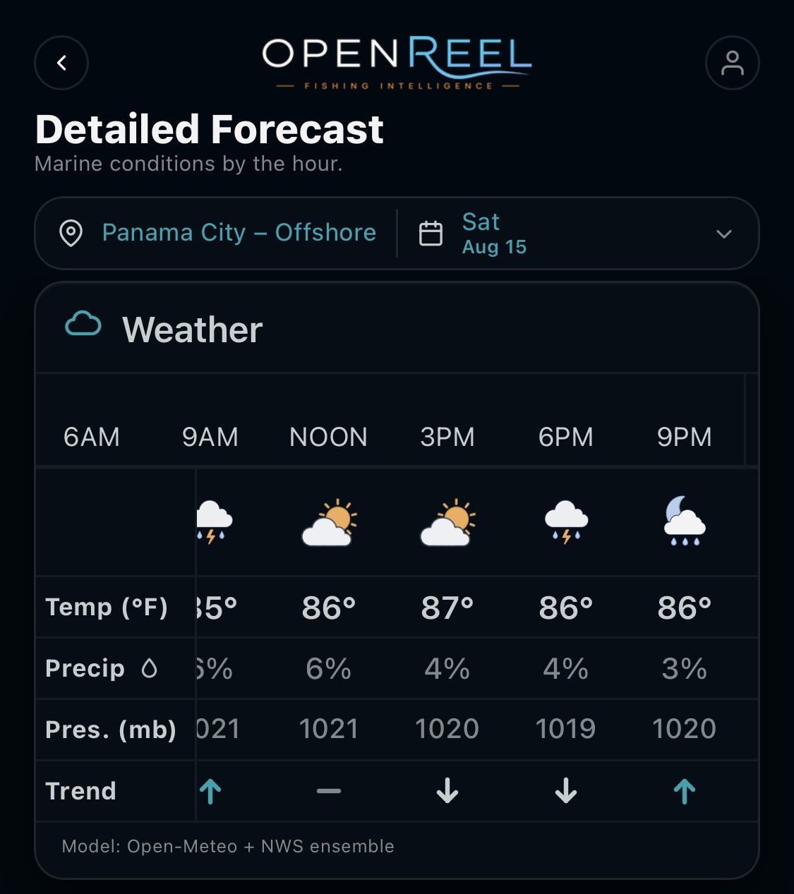 Hourly marine weather forecast